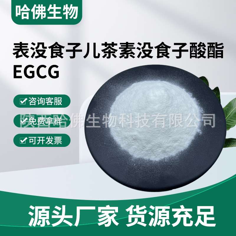 表没食子儿茶素没食子酸酯98% EGCG 水溶性绿茶提取物