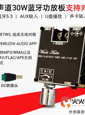 ZK-301B单声道30W蓝牙5.3音频功放板模块带真无线TWS左右声道对箱