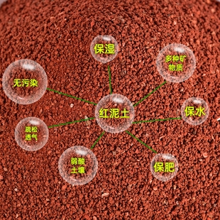 杜鹃花专用土花土通用型种植营养土酸性沙质山泥土壤盆栽花卉红土