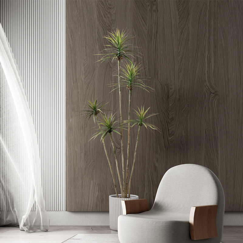 白色水泥花盆北欧落地创意个性简约透气圆柱形客厅大号阳台盆景盆