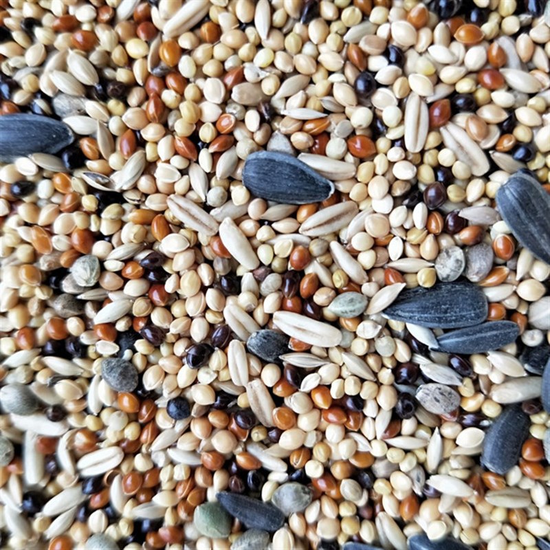 鹦鹉鸟食牡丹玄凤虎皮玄风爱情鸟鸟食鸡尾鹦鹉饲料五斤包邮