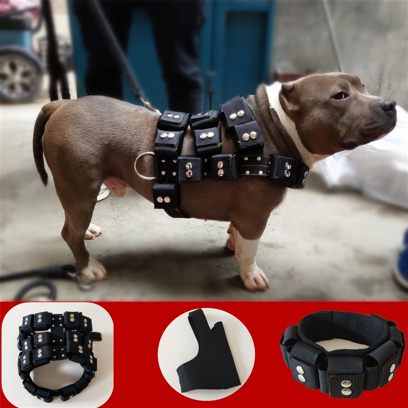 比特犬负重背带猛犬训练用品斗狗杜高大型犬胸背带练肌肉胸背带脖