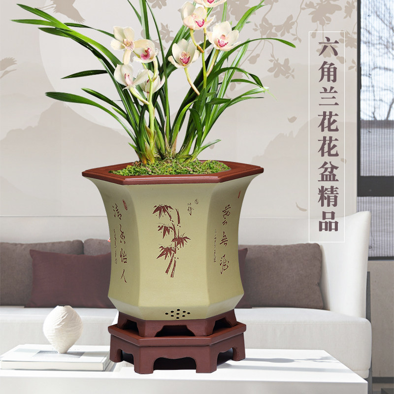 宜兴紫砂盆精品室内盆景盆兰花花盆陶瓷大号六角君子兰专用盆托盘