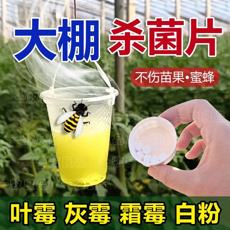 大棚空气杀菌消毒片大棚花卉蔬菜草莓杀菌剂农用叶霉灰霉霜霉白粉,鲜花速递/花卉仿真/绿植园艺,家庭园艺肥料,淘宝优惠券,粉丝福利购,淘宝优惠卷