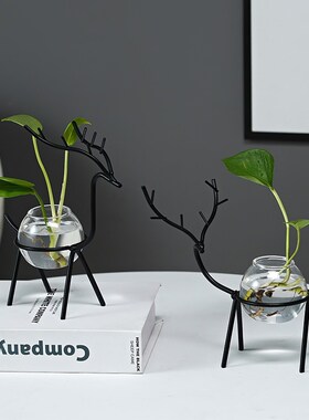 北欧桌面水培花盆摆件办公桌客厅多肉绿萝水养植物花瓶装饰摆设