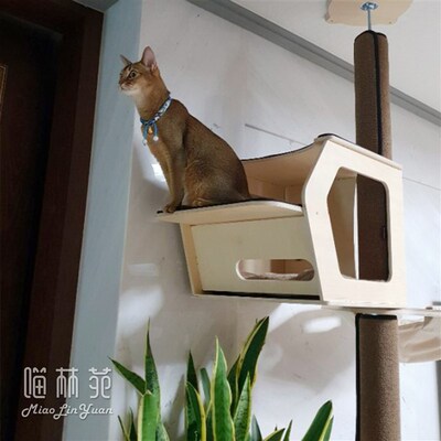 喵林苑猫塔通天柱猫爬架猫树太空舱吊床爬梯猫窝跳板配件