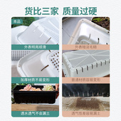 多肉专用塑料育苗盘穴盘花盆播种盘育苗筐生石叶插托盘大号小号