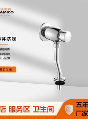 埃美柯小便冲洗阀全铜缓冲自动闭4分服务区酒店工程厕所便阀BC5