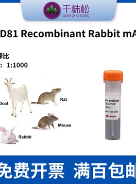 CD81 Recombinant Rabbit mAb WB实验 外泌体检测用抗体
