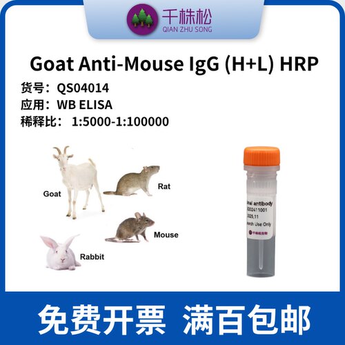 Goat Anti-Mouse IgG (H+L) HRP 二抗 WB/ELISA/IHC实验 高浓度