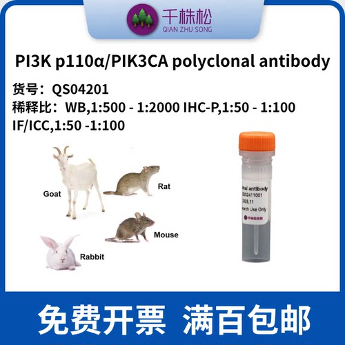 PI3K p110α/PIK3CA polyclonal antibody兔抗一抗 WB IHC IF/ICC