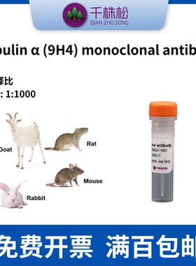 Tubulin α (9H4) monoclonal antibody，WB/IHC/IF/鼠单抗