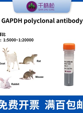 内参抗体，GAPDH polyclonal antibody，WB实验