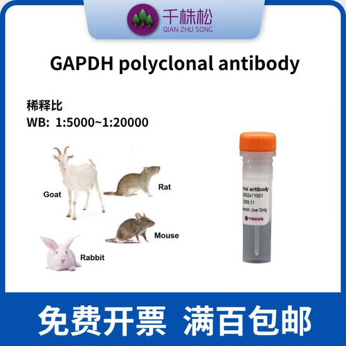 GAPDH内参抗体千株松免费开票