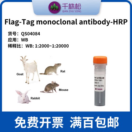 Flag-Tag monoclonal antibody-HRP 高浓度 1mg/ml