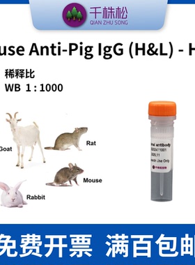 Mouse Anti-Pig IgG (H&L) - HRP，二抗，WB/ELISA/IHC