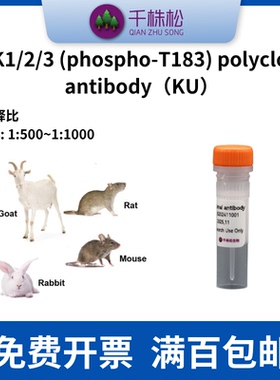 JNK1/2/3 (phospho-T183) polyclonal antibody（KU）