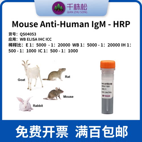 Mouse Anti-Human IgM - HRP 二抗 WB/ELISA/IHC 高浓度 1mg/ml