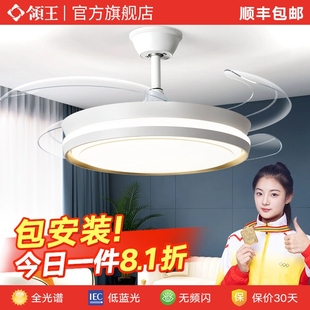 领王隐形风扇灯2025年新款吊扇灯厅卧室电扇灯家用一体吊灯客厅餐