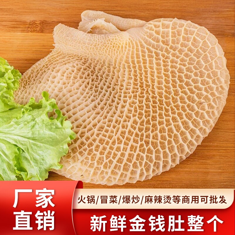 金钱肚蜂窝肚新鲜牛肚毛肚火锅食材黄金肚小肚牛胃餐饮商用牛杂
