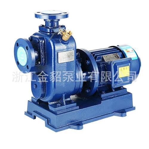 厂家直销自吸泵BZ/ZW灌溉自吸污水泵压泵喷淋喷灌大流量国标