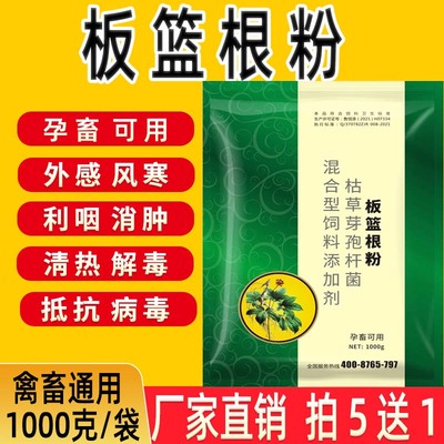 板蓝根粉兽用猪牛羊鸡药鸭鹅用清热解毒增强免疫抵抗病毒孕畜可用
