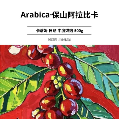 迪潞云南卡蒂姆日晒手冲咖啡豆