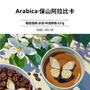 迪潞 云南咖啡Arabica保山阿拉比卡咖啡豆云南中浅烘焙227g袋装