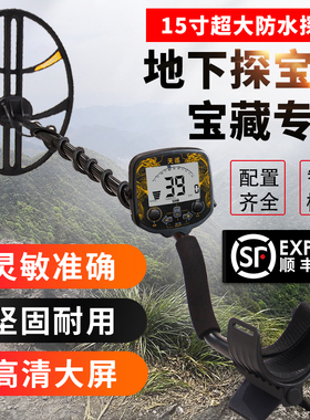 德国进口天巡金属探测器高精度手持小型户外探测仪地下寻宝器天巡