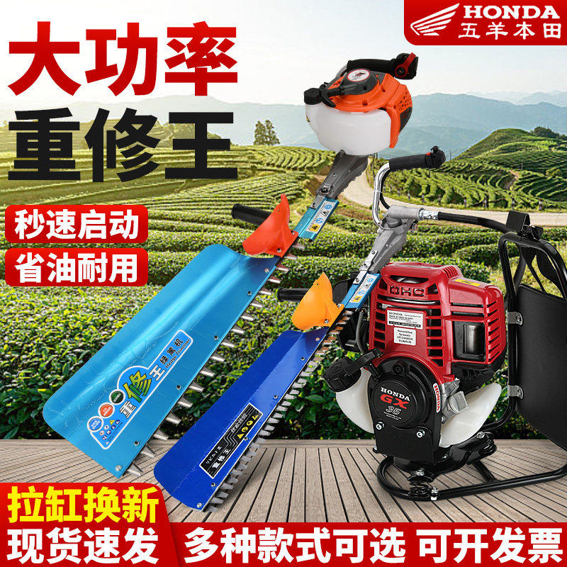 日本进口本田绿篱机汽油茶叶茶树修剪园林绿化修枝剪重修采茶机器