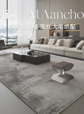 地毯客厅2025新款轻奢高级感灰色极简免洗可擦卧室床边现代沙发毯