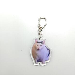 Rambling Goat Huh Cat Meme Keychain Confused Cat Memes Cat S