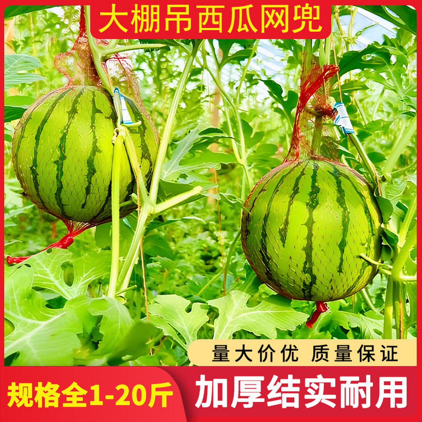 大棚吊西瓜专用套袋防虫网挂瓜网袋子哈密瓜10斤红色带绳塑料网袋
