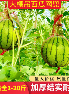 大棚吊西瓜专用套袋防虫网挂瓜网袋子哈密瓜10斤红色带绳塑料网袋