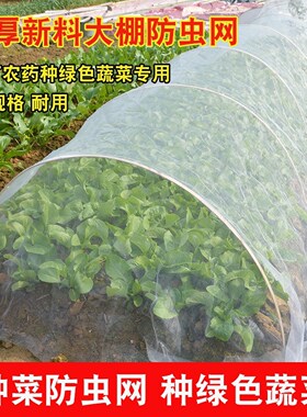 防虫网大棚专用农用蔬菜果园网猪场防蚊蝇网尼龙网养殖网加密加厚