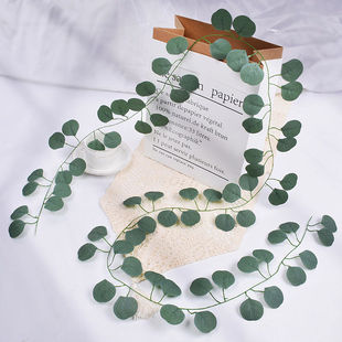 跨境人造尤加利72叶金钱叶仿真桉树藤条亚马逊婚礼派对背景布置