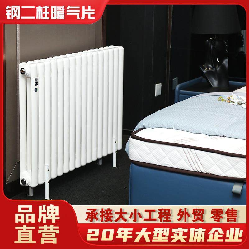 暖气片钢制壁挂式集中供暖钢二柱6030暖气片水暖散热器片加厚立式