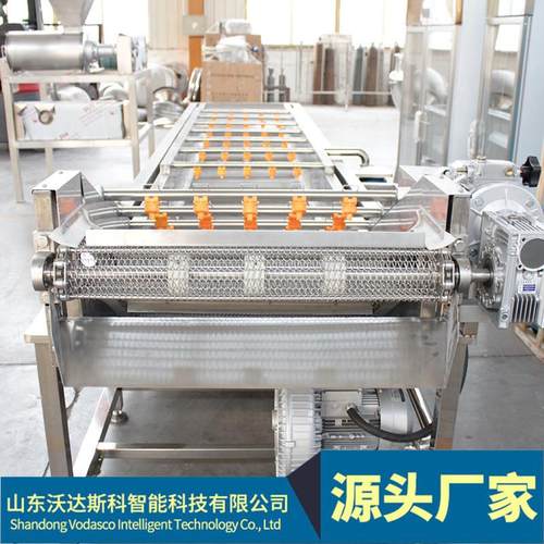 新鲜松茸菌蘑菇菌菇气泡清洗机 菇蕾去泥沙机器 竹笙菌菇清洗线