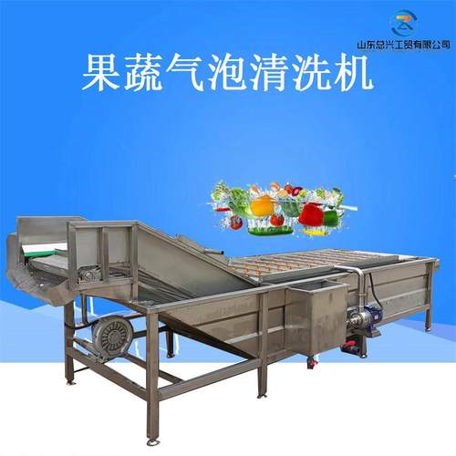 圣女果不锈钢气泡清洗机 玉米山楂清洗机 毛豆高压喷淋果蔬清洗机