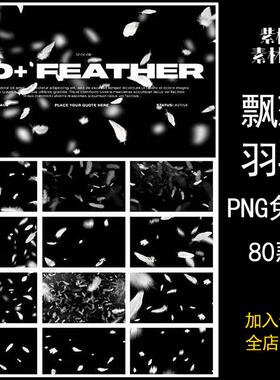 羽毛素材png免抠梦幻白色飘落羽毛天使特效照片装饰叠层图片模板
