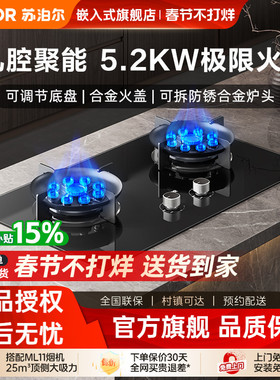 苏泊尔YB13燃气灶家用九腔爆炒双灶煤气灶天然气液化气灶台MB901