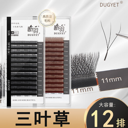断羽三叶草嫁接睫毛柔软浓密