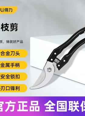 得力工具 修枝剪园林果树花枝剪果农专业粗枝强力剪刀DL580200