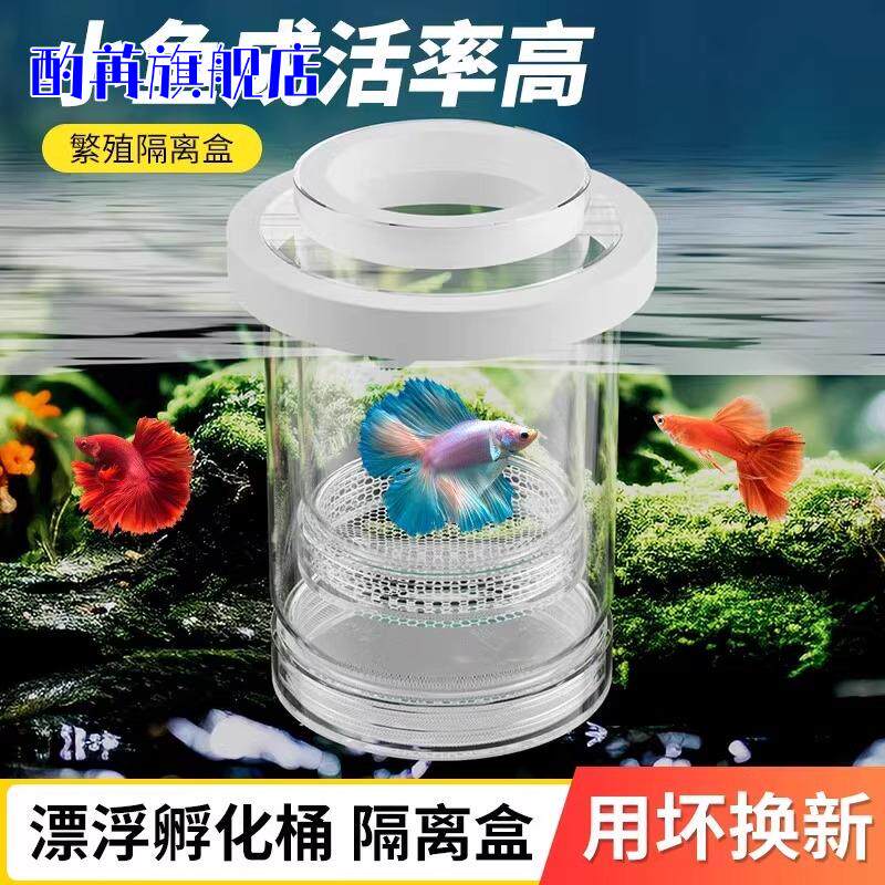 孔雀鱼金波子专用悬浮孵化隔离盒