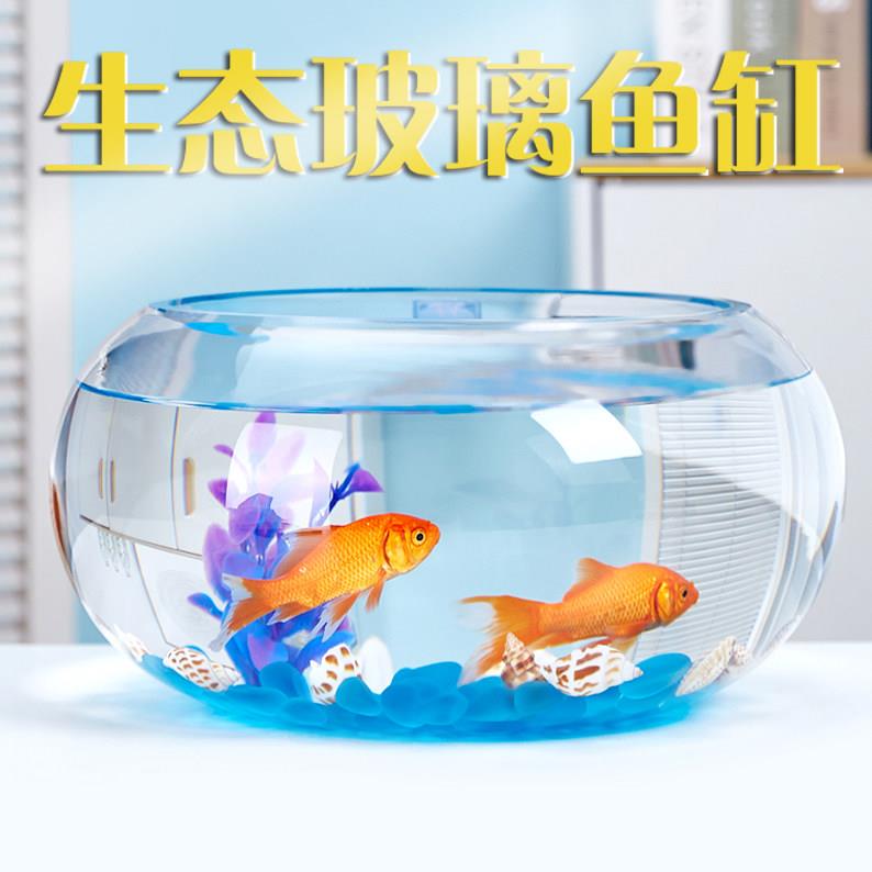 创意水族箱生态圆形玻璃金鱼缸 大号乌龟缸 迷你小型造景水培花瓶