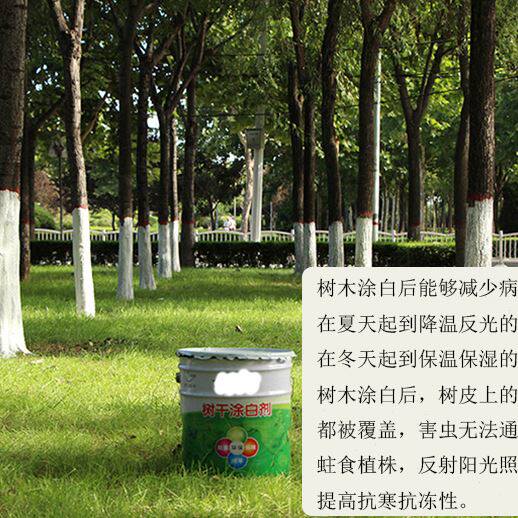 园林树干涂杆器路边绿化树木喷涂白剂果园果树电动喷雾器喷涂喷头