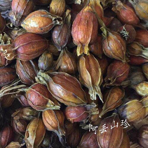 广西金秀大瑶山传统滋补品其他农家特产黄杞子一包邮土斤FQC货食