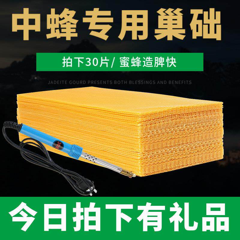巢框础中蜂专用蜜蜂蜂蜡巢标准巢深房蜡蜂巢基蜂箱养ERL皮蜂蜡片