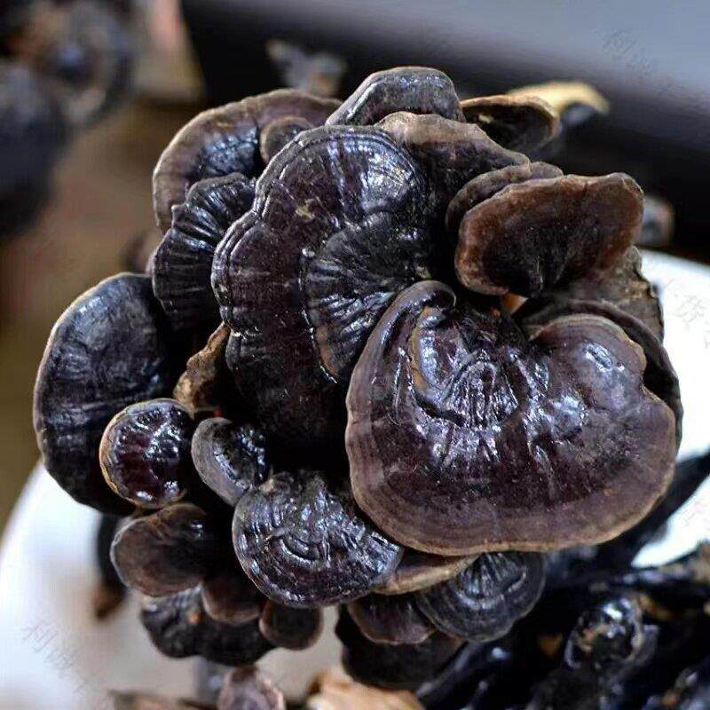 云野生竹WHE灵克芝野生灵芝片竹芝整枝灵竹灵芝带柄散装250包南邮