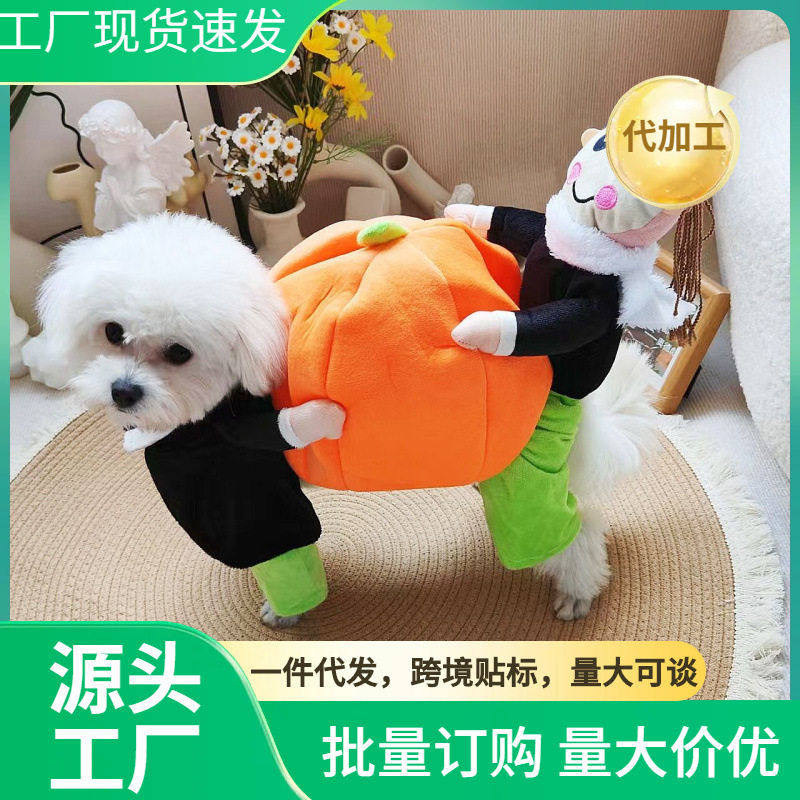 万圣节小人泰迪贵宾狗变身装抱南瓜圣诞节衣服宠物狗狗抬节日装扮